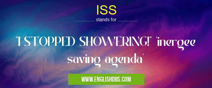 ISS means ISS