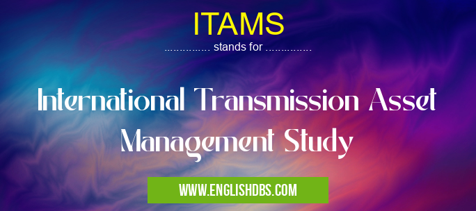 ITAMS means International Transmission Asset Management Study ITAMS