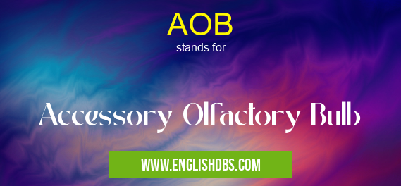 AOB means Accessory Olfactory Bulb AOB