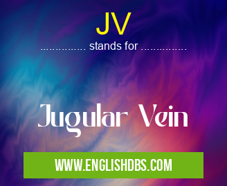 JV means Jugular Vein JV