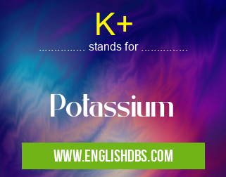 K+ means Potassium K+