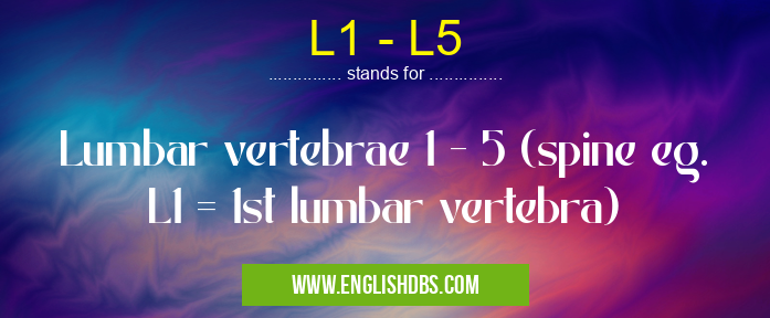 L1 - L5 means Lumbar vertebrae 1 - 5 (spine eg. L1 = 1st lumbar vertebra) L1 - L5