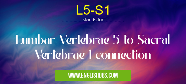 L5-S1 means Lumbar Vertebrae 5 to Sacral Vertebrae 1 connection L5-S1