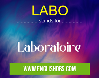 LABO means Laboratoire LABO