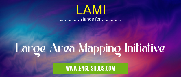 LAMI means Large Area Mapping Initiative LAMI