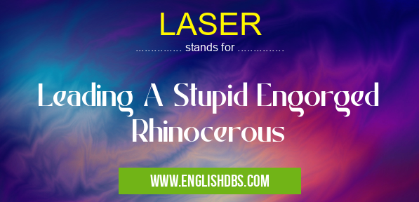 LASER means Leading A Stupid Engorged Rhinocerous LASER