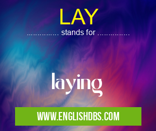 LAY means laying LAY