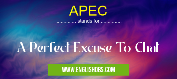 APEC means A Perfect Excuse To Chat APEC