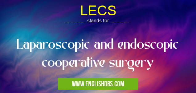 LECS means Laparoscopic and endoscopic cooperative surgery LECS