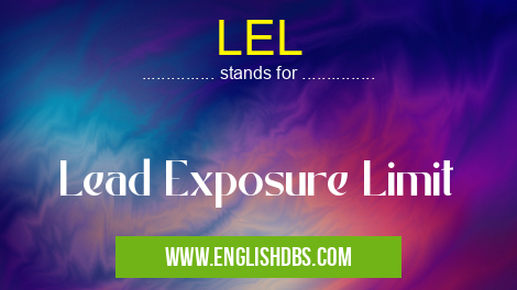 LEL means Lead Exposure Limit LEL