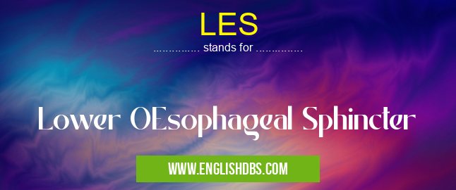 LES means Lower OEsophageal Sphincter LES