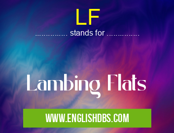 LF means Lambing Flats LF