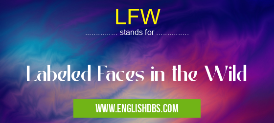 LFW means Labeled Faces in the Wild LFW