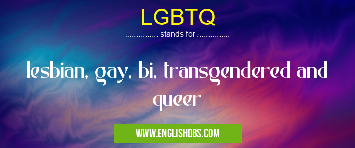 LGBTQ means lesbian, gay, bi, transgendered and queer LGBTQ
