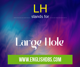 LH means Large Hole LH