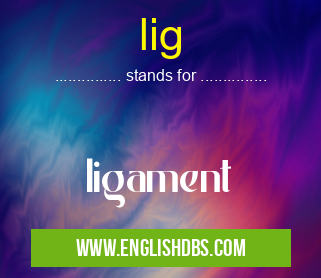 lig means ligament lig