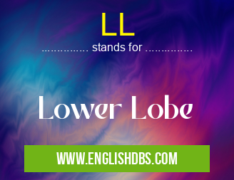 LL means Lower Lobe LL