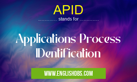 APID means Applications Process IDentification APID