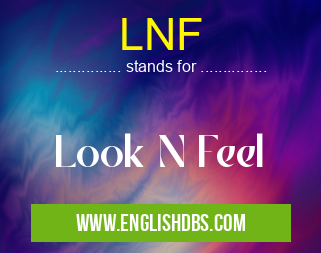 LNF means Look N Feel LNF
