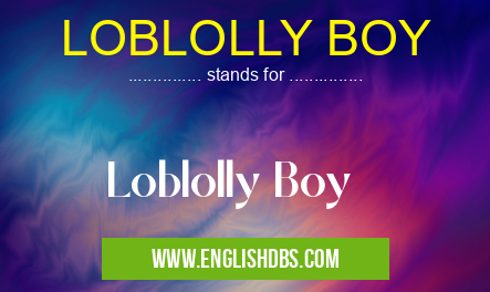 LOBLOLLY BOY means Loblolly Boy LOBLOLLY BOY