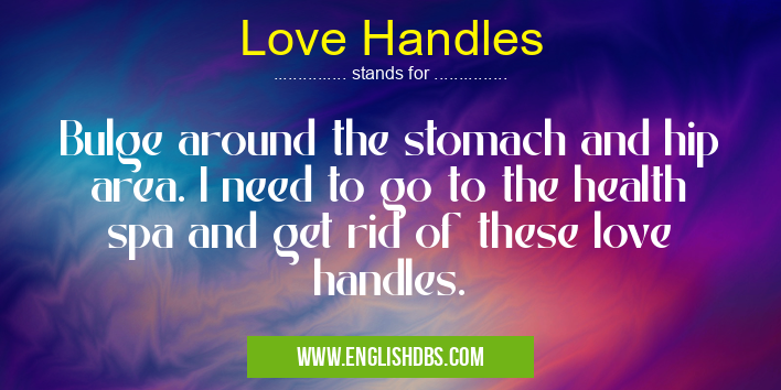 Love Handles means Bulge around the stomach and hip area. I need to go to the health spa and get rid of these love handles. Love Handles