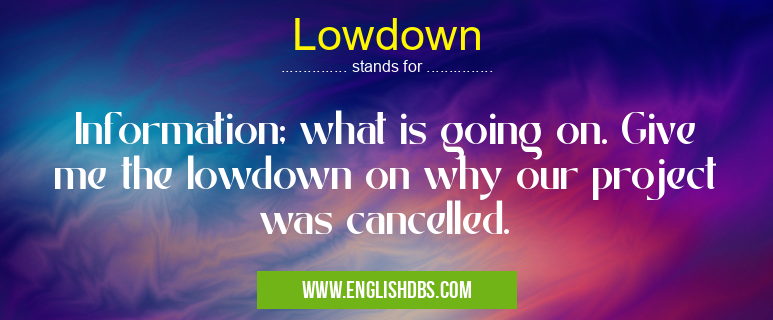 Lowdown means Information; what is going on. Give me the lowdown on why our project was cancelled. Lowdown