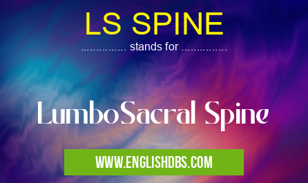 LS SPINE means LumboSacral Spine LS SPINE