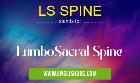 LS SPINE