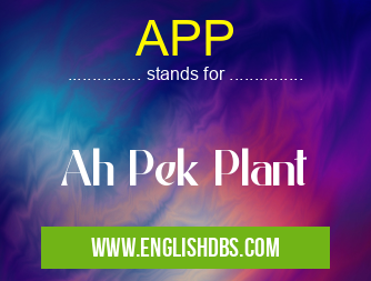 APP means Ah Pek Plant APP