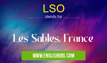 LSO means Les Sables, France LSO