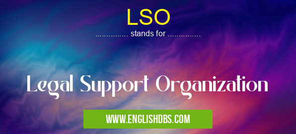 LSO means Legal Support Organization LSO
