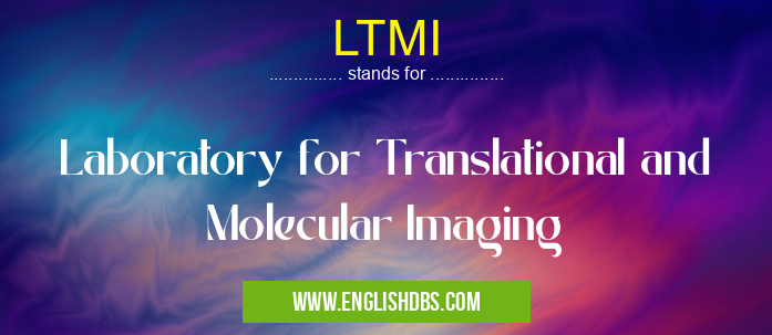 LTMI means Laboratory for Translational and Molecular Imaging LTMI