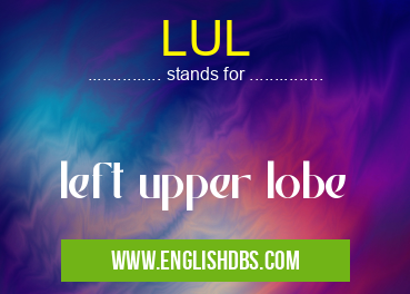 LUL means left upper lobe LUL