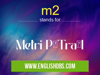 m2 means Metri PăTraţI m2