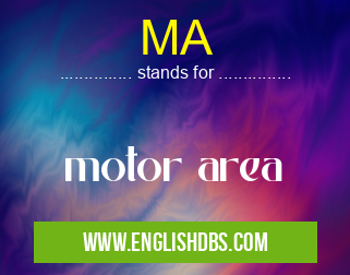 MA means motor area MA