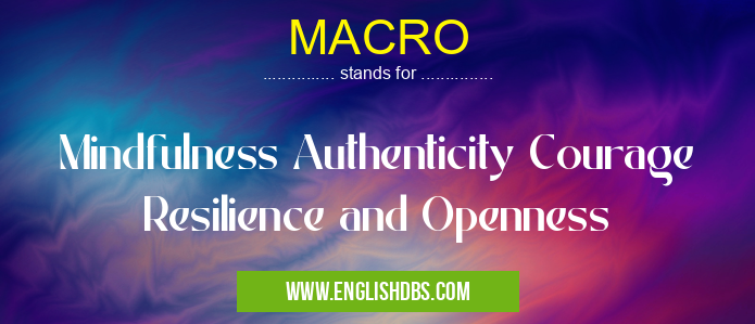 MACRO means Mindfulness Authenticity Courage Resilience and Openness MACRO