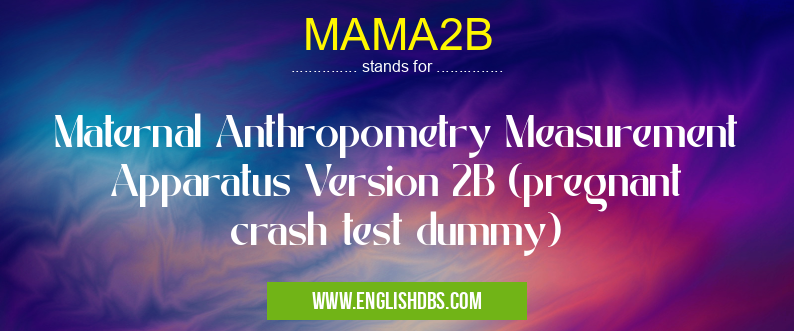 MAMA2B means Maternal Anthropometry Measurement Apparatus Version 2B (pregnant crash test dummy) MAMA2B