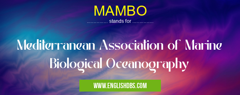 MAMBO means Mediterranean Association of Marine Biological Oceanography MAMBO