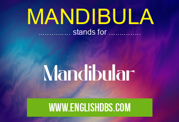 MANDIBULA means Mandibular MANDIBULA