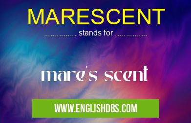MARESCENT means mare's scent MARESCENT