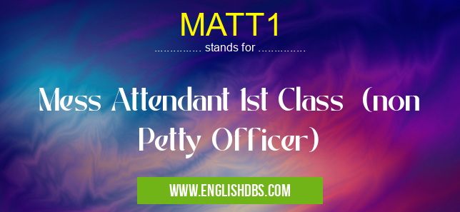 MATT1 means Mess Attendant 1st Class (non Petty Officer) MATT1