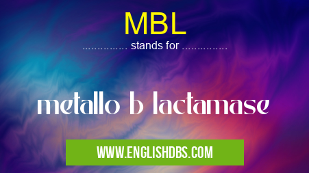 MBL means metallo b lactamase MBL