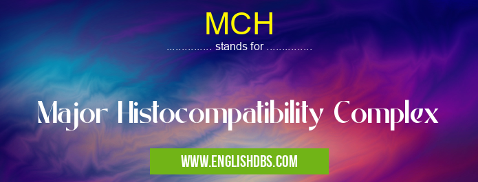 MCH means Major Histocompatibility Complex MCH