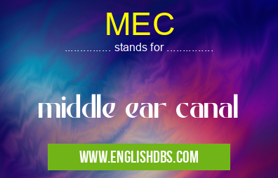 MEC means middle ear canal MEC