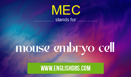 MEC means mouse embryo cell MEC