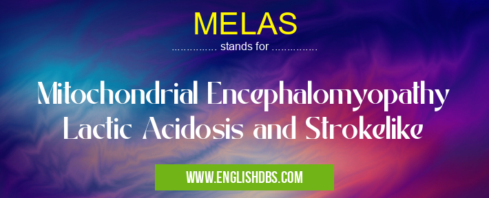 MELAS means Mitochondrial Encephalomyopathy Lactic Acidosis and Strokelike MELAS