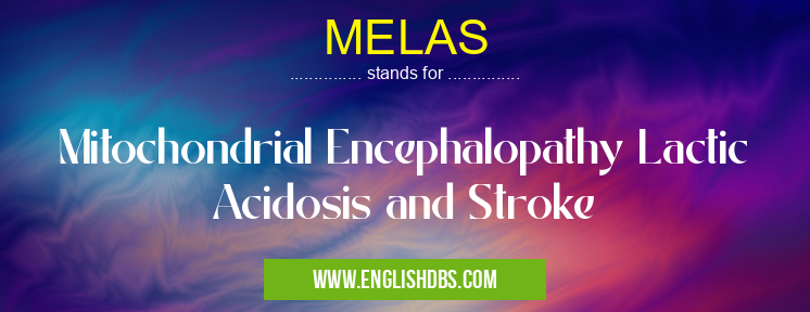 MELAS means Mitochondrial Encephalopathy Lactic Acidosis and Stroke MELAS
