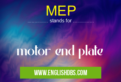 MEP means motor end plate MEP
