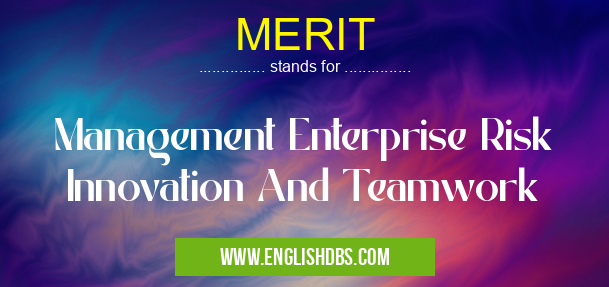 MERIT means Management Enterprise Risk Innovation And Teamwork MERIT