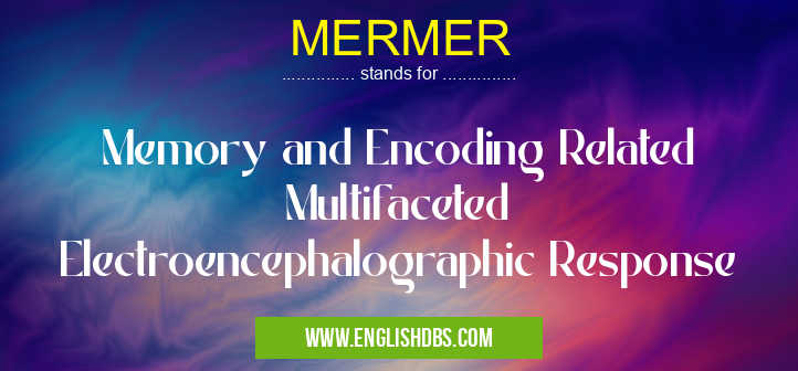 MERMER means Memory and Encoding Related Multifaceted Electroencephalographic Response MERMER